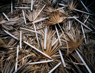 Illustration for article titled Artist's Trash Exhibitions Depict A Planet Colonized By Plastic